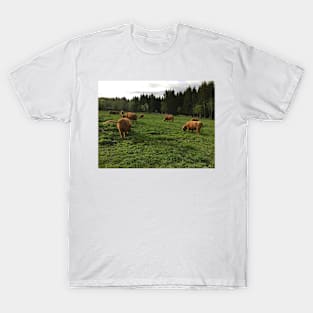 Scottish Highland Cattle Cows 2398 T-Shirt